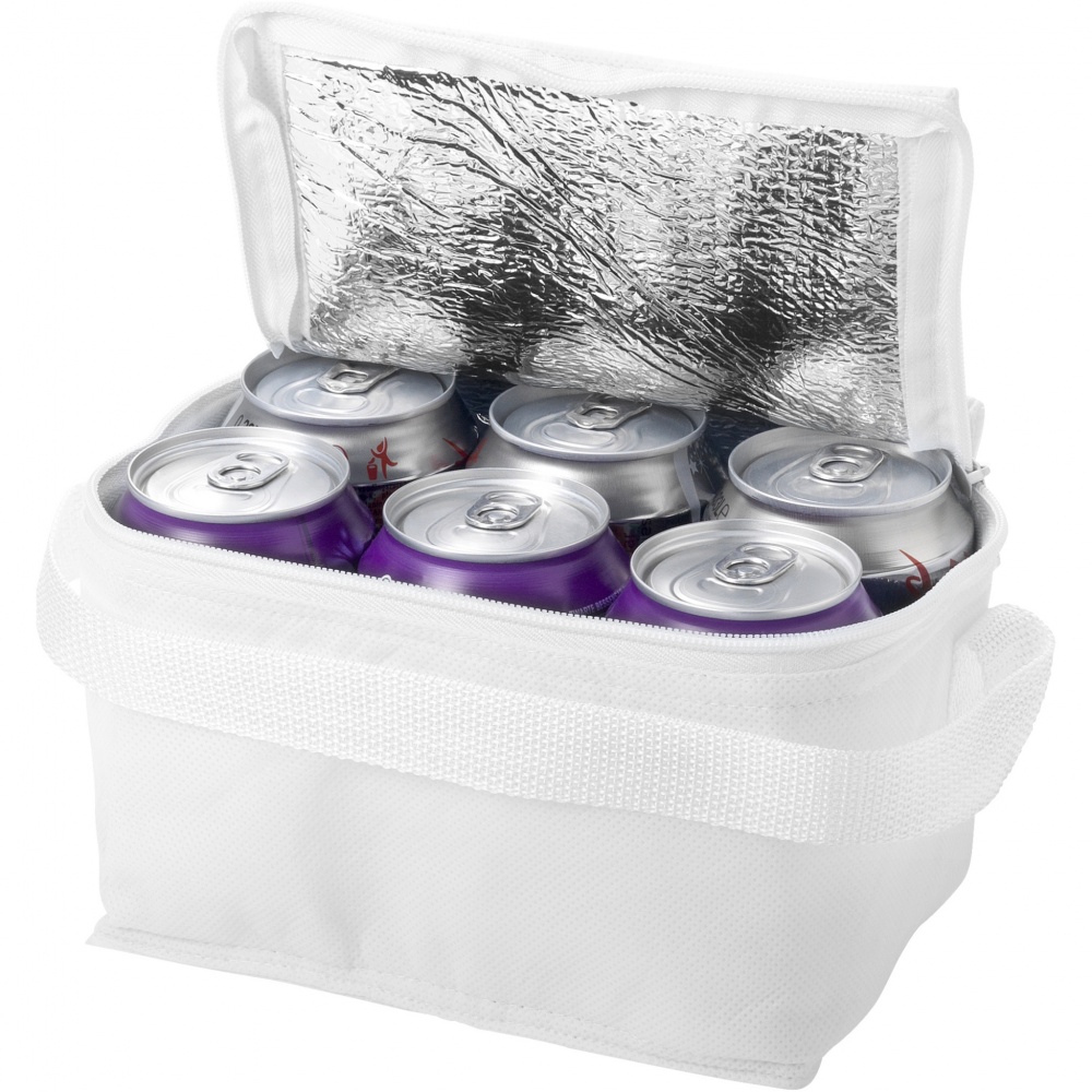 Logotrade promotional giveaway image of: Spectrum 6-can cooler bag 4L
