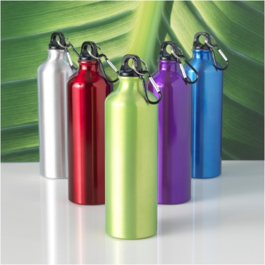 Logo trade promotional products picture of: Oregon 770 ml aluminium water bottle with carabiner