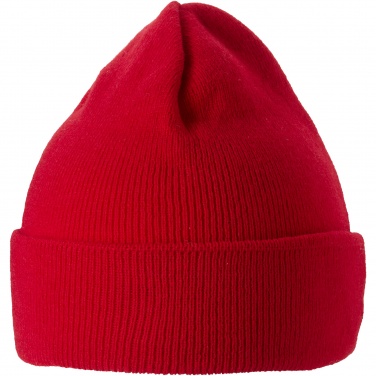 Logotrade promotional item picture of: Irwin beanie