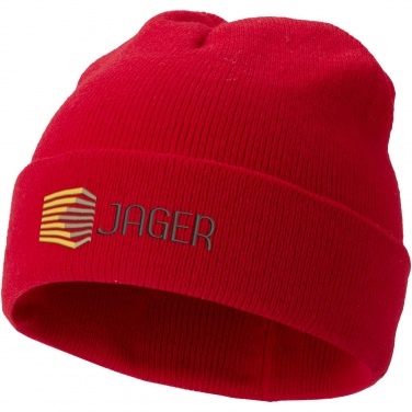 Logotrade promotional gifts photo of: Irwin beanie