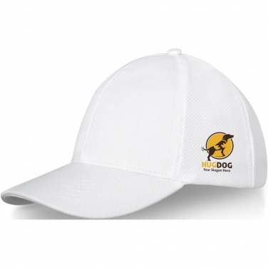 Logotrade advertising products photo of: Drake 6 panel trucker cap