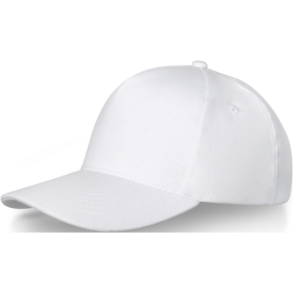 Logo trade promotional items image of: Doyle 5 panel cap