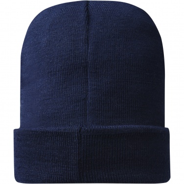Logotrade promotional item picture of: Hale Polylana® beanie