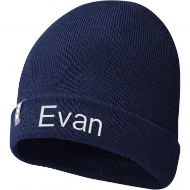 Logotrade promotional items photo of: Hale Polylana® beanie