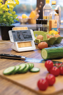 Logo trade promotional giveaway photo of: Ontario  RCS recycled plastic 10W stand