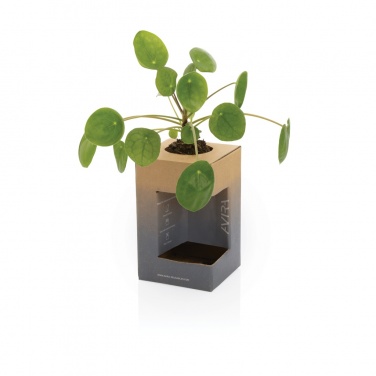 Logotrade promotional merchandise photo of: Avira Alya RCS Re-steel tumbler 300 ml