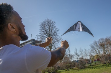 Logo trade promotional giveaways picture of: Delta kite