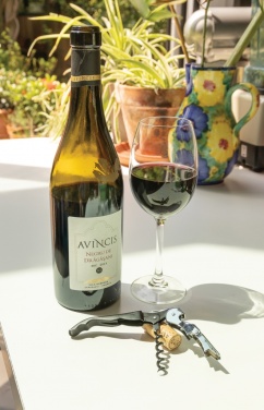 Logotrade promotional items photo of: Vino Waiters corkscrew