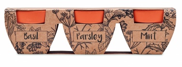 Logotrade promotional giveaways photo of: Terracotta 3 herb pot set