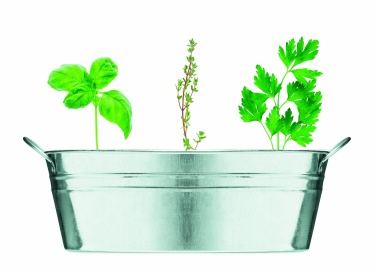 Logotrade corporate gift picture of: Zinc tub with 3 herbs seeds