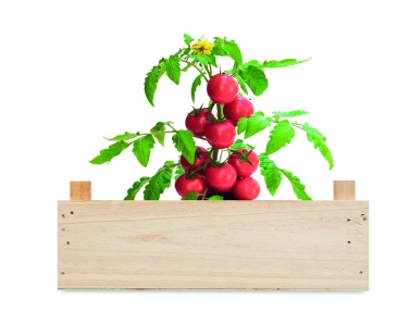 Logotrade promotional gift image of: Tomato kit in wooden crate