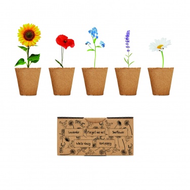 Logotrade promotional giveaway picture of: Flowers growing kit