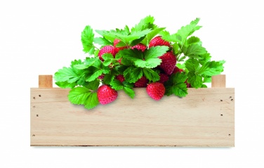 Logo trade promotional giveaways picture of: Strawberry kit in wooden crate