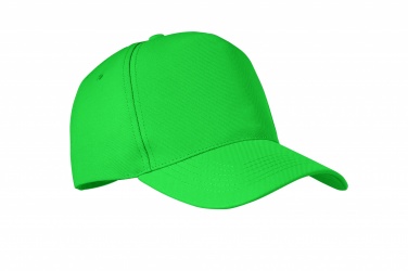 Logotrade promotional gifts photo of: RPET 5 panel baseball cap