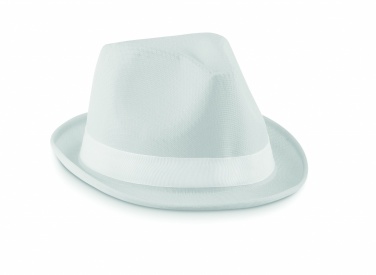 Logotrade promotional giveaway picture of: Coloured polyester hat