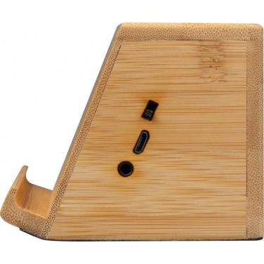 Logotrade promotional item picture of: Induction loudspeaker NUREMBERG