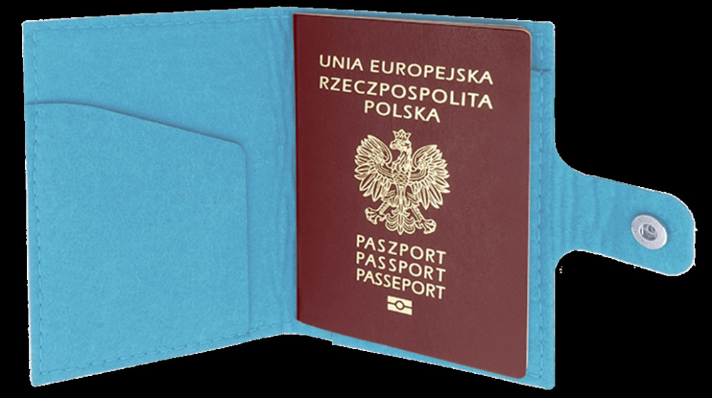 Logo trade corporate gifts image of: Passport case 84106200