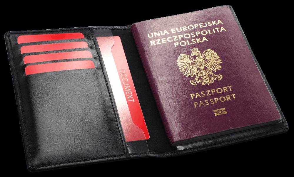 Logo trade promotional merchandise image of: RFID passport case 1301131
