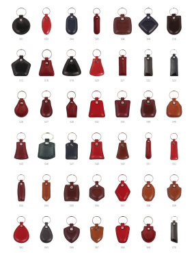 Logotrade advertising products photo of: Keyring 178011