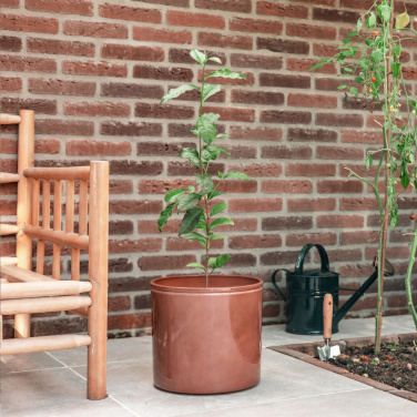 Logo trade promotional gifts image of: Treemore Letterbox Trees Tea plant