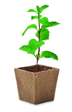 Logotrade promotional item image of: Mint seeds growing kit