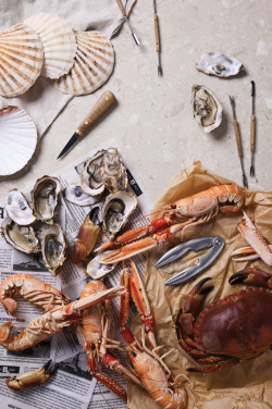 Logotrade advertising product picture of: VINGA Story of seafood