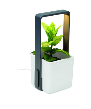 Logotrade promotional merchandise picture of: Indoor garden with LED light