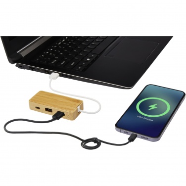 Logotrade ärikingitused pilt: Tapase bambusest USB-jaotur