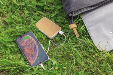 Logo trade ärikingituse pilt: Korgist ja nisust 5000 mAh taskujõupank