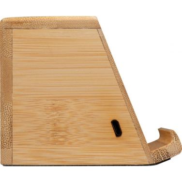 Logo trade meene pilt: Induktsioonkõlar NÜREMBERG