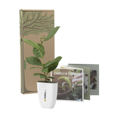 Logo trade reklaamtoote pilt: Treemore Letterbox Trees Teetaim