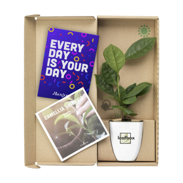 Logotrade meene foto: Treemore Letterbox Trees Teetaim