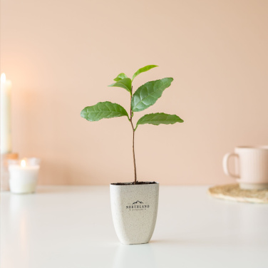 Logotrade firmakingituse foto: Treemore Letterbox Trees Teetaim