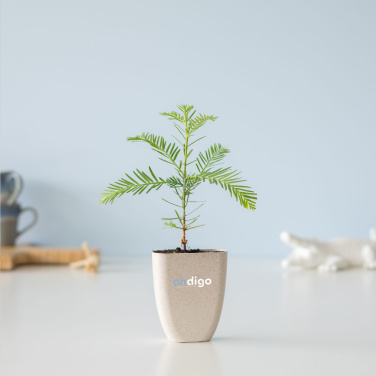 Logotrade firmakingituse foto: Treemore'i kirjakastipuud hiiglaslik sekvoia