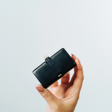 Logotrade reklaamtoote foto: Urban Vitamin Los Angeles RCS 20W PD akupank