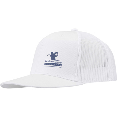 Logo trade reklaamkingi pilt: Drift Snapback 260 g/m2 6 paneeliga nokamüts