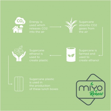 Logotrade liikelahjat mainoslahjat tuotekuva: MIYO Renew yksikerroksinen lounasrasia